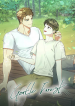 Gentle Forest (1)
